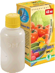 Пётр Байкал ЭМ-1